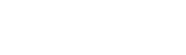 Selly Automotive CRM Logo